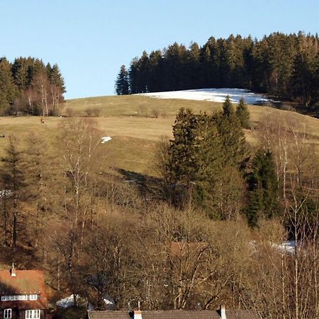 Ferienwohnung Himmelblau - Altenau Harz Extérieur photo